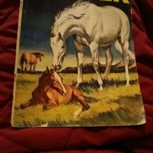 Dell LONE RANGERS FAMOUS HORSE HI-YO SILVER #26 silver age 1958 The Locust Swarm