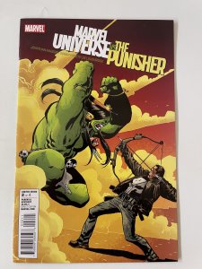 Marvel Universe vs. The Punisher #2 - NM- (2010)