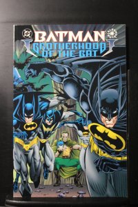 Batman: Brotherhood of the Bat (1995)