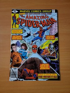 Amazing Spider-Man #195 ~ NEAR MINT NM ~ 1979 Marvel Comics