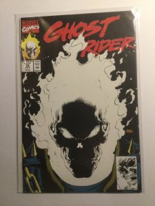 Ghost Rider 15 Near Mint Nm Marvel