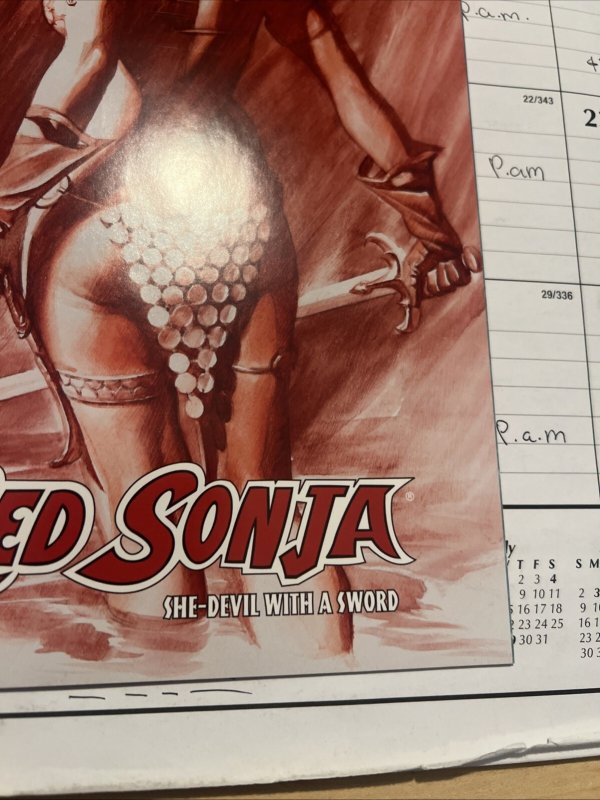 RED SONJA SHE-DEVIL WITH A SWORD # 30 * ALEX ROSS 2007
