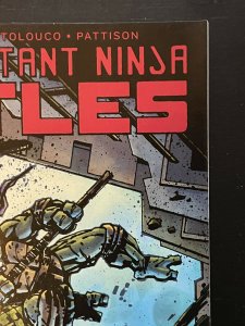 TEENAGE MUTANT NINJA TURTLES #58 (2011 IDW) VARIANT Cover