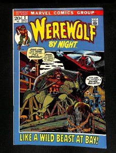 Werewolf By Night #2 Mike Ploog Art!