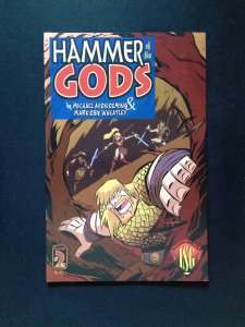 Hammer of Gods #2  INSIGHT STUDIO Comics 2001 NM