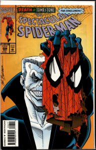 The Spectacular Spider-Man #206 (1993) Spider-Man