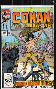 Conan the Barbarian #238 (1990) Conan