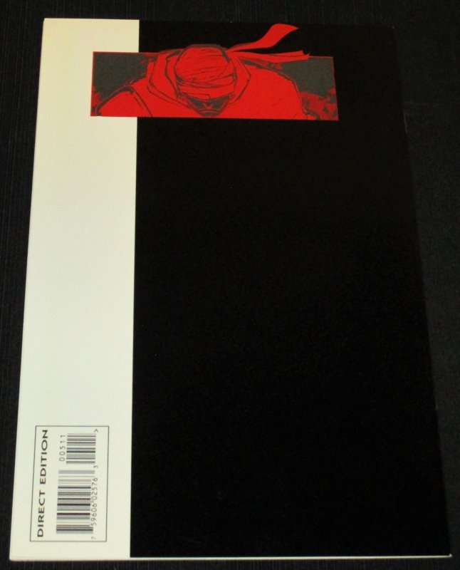 Daredevil: The Man Without Fear #5 (1994)