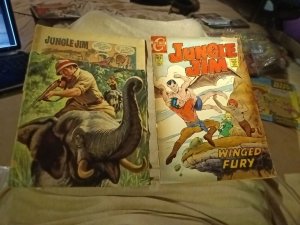 Jungle Jim 15 And 27 Dell Charlton Comics lot Run Set Collection