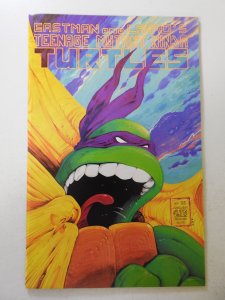 Teenage Mutant Ninja Turtles #22 (1989) VF Condition!