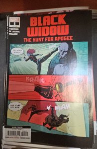 Black Widow #6 Second Print Cover (2021)