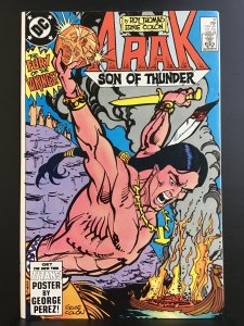 Arak, Son of Thunder #31 (1984)