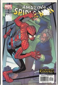 The Amazing Spider-Man #506 (2004)