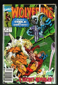 Wolverine #41 (1991)
