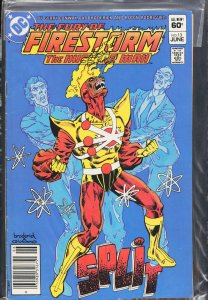The Fury of Firestorm #13 (1983) Firestorm