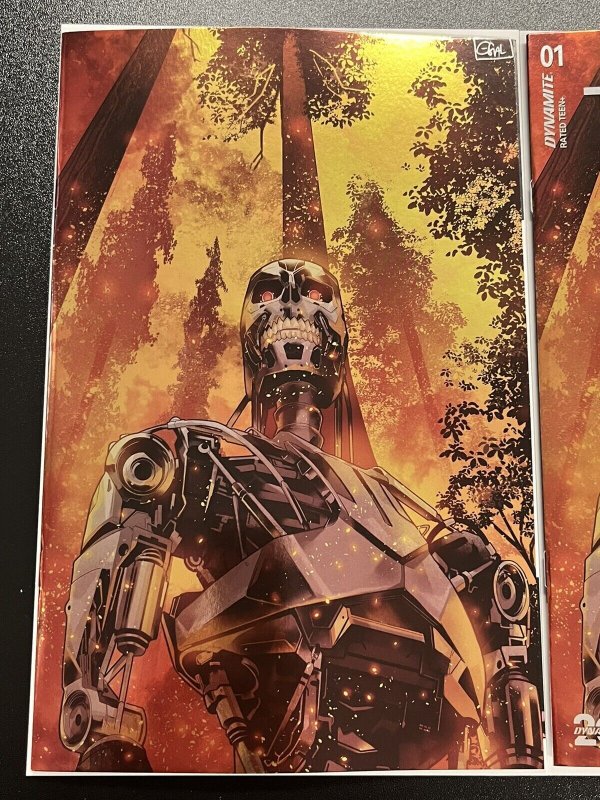 TERMINATOR #1 CVR L 1:10 GALMON VAR + N 1:15 FOIL VIRGIN DYNAMITE 2024 PROSHIPS