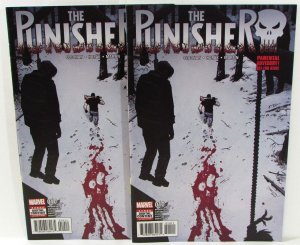The Punisher Lot of 2 #10 x2 Marvel (2017) 11th Series Comic Books