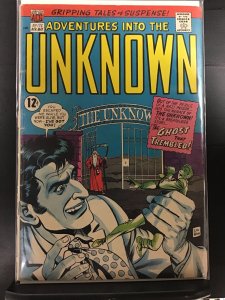 Adventures Into the Unknown #172 (1967)j