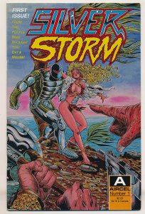 Silver Storm (1990 Aircel) #1-4 VF/NM Complete series