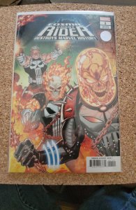 Cosmic Ghost Rider Destroys Marvel History #1 Lim Cover (2019)