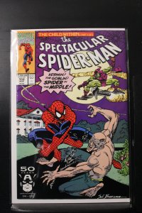 The Spectacular Spider-Man #182 Direct Edition (1991)