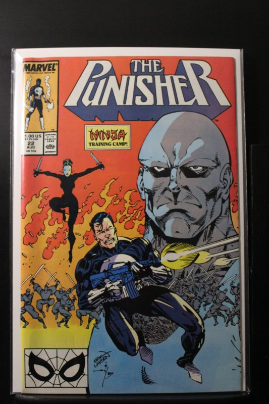 The Punisher #22 (1989)