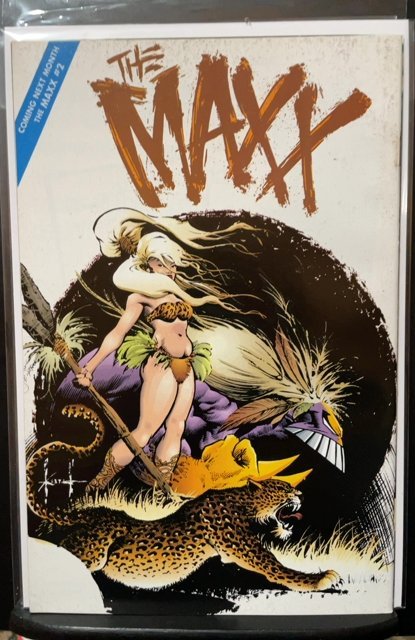 The Maxx #1 (1993)