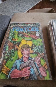 Teenage Mutant Ninja Turtles #12