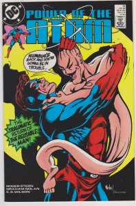 Power of the Atom #14