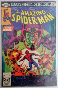 The Amazing Spider-Man #207 (VF)(1980)