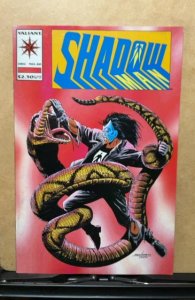Shadowman #20 (1993)