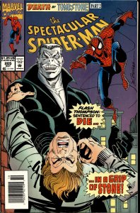 The Spectacular Spider-Man #205 (1993) Spider-Man