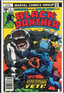 Black Panther #5 (1977) Black Panther