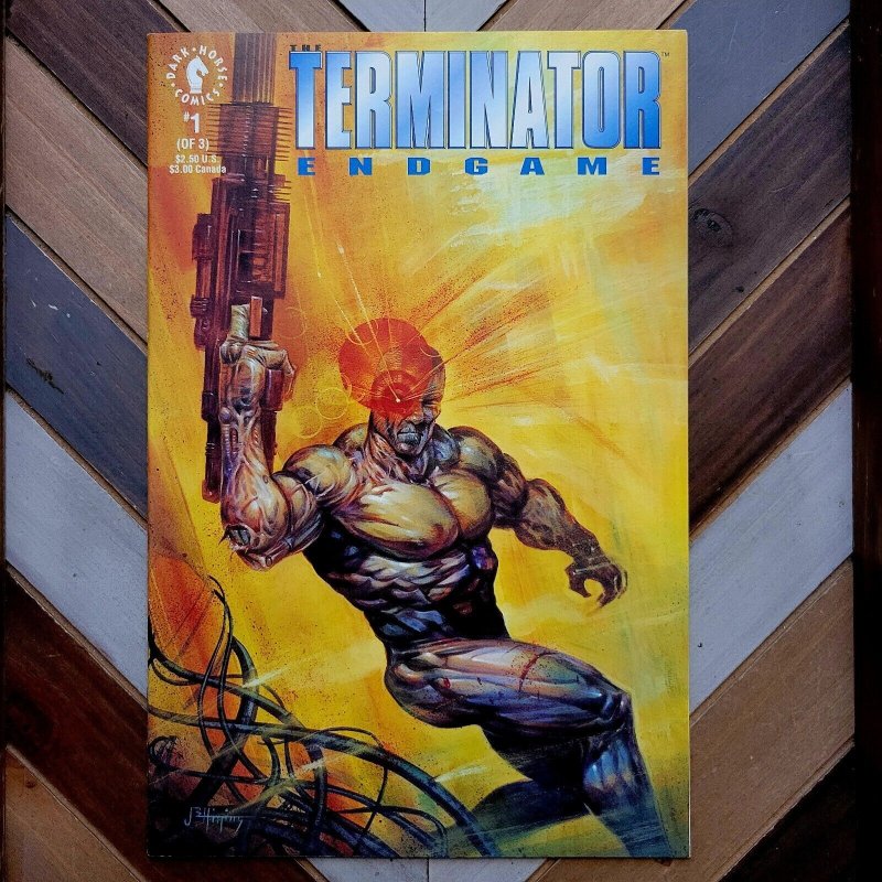 TERMINATOR Endgame #1-3 NM (1992 Dark Horse) COMPLETE MINI SERIES! SCI-FI/HORROR