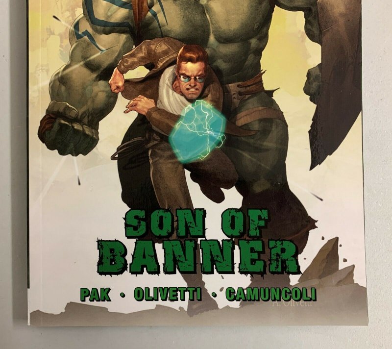 Incredible Hulk Vol. 1 Son Of Banner (Marvel 2010) Greg Pak Paperback  