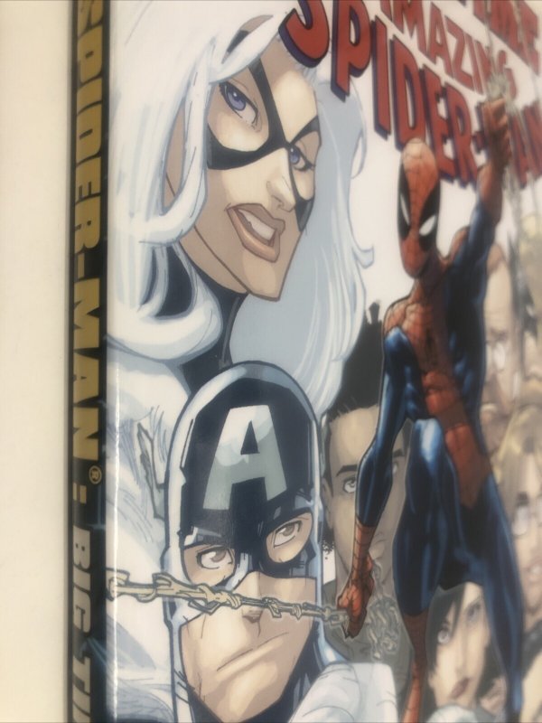 Bog Time The Amazing Spider-Man (2011) HC • Marvel Universe • Dan Slott • Ramos