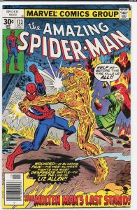 The Amazing Spider-Man #173 (1977) Spider-Man