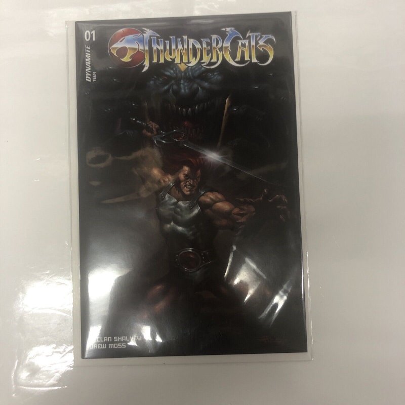 Thundercats (2024) # 1 Set Of 9 Comics (NM) • Declan Shalvey • Drew Moss