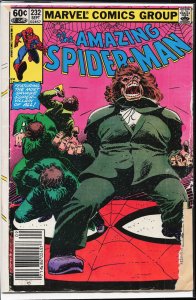 The Amazing Spider-Man #232 (1982) Spider-Man