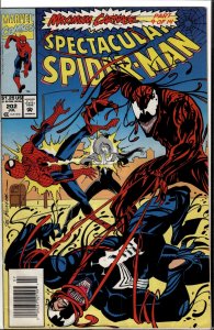 The Spectacular Spider-Man #202 (1993) Spider-Man