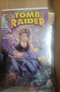 Tomb Raider #8