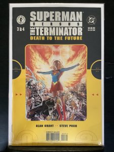 Superman vs The Terminator: Death To The Future #3 (2000)