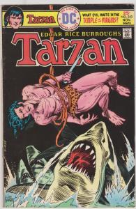 Tarzan #243