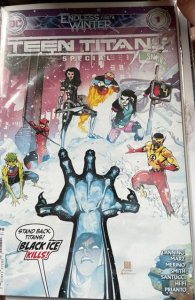 Teen Titans: Endless Winter Special (2021) Teen Titans 