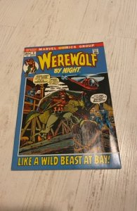 Werewolf by Night #2 (1972)Like a wild beast at bay - VF