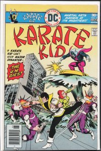 Karate Kid #2 (1976) Karate Kid