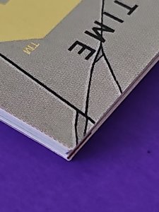 INVINCIBLE 144 VARIANT 1st Appearance Terra Grayson Netflix NM