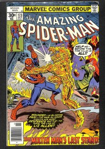 Amazing Spider-Man #173 VG/FN 5.0 Marvel Comics Spiderman