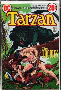 Edgar Rice Burroughs' Tarzan #218 (1973)