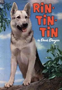 Four Color Comics (2nd Series) #434 POOR ; Dell | low grade comic Rin Tin Tin